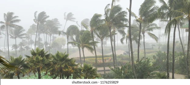 || পথের পাঁচালী – এক ||